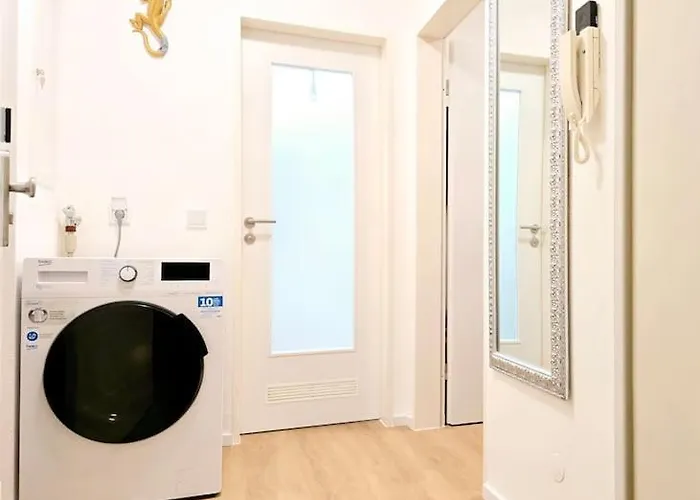 Urban Jungle Riesiger Balkon Parken Arbeitsplatz 奥芬巴赫